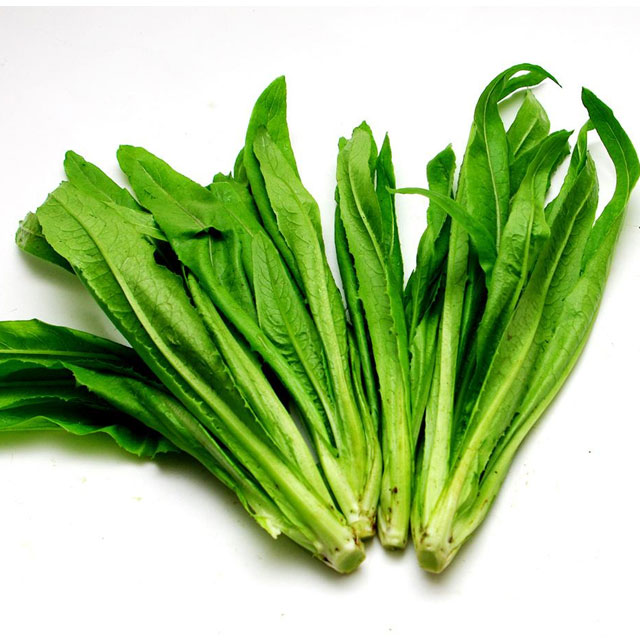 油麥菜配送蔬菜配送深圳市七畝地農(nóng)產(chǎn)品實(shí)業(yè)有限公司