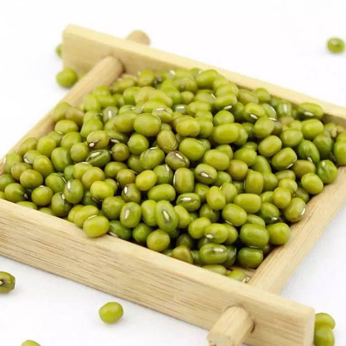 綠豆配送調(diào)料干貨深圳市七畝地農(nóng)產(chǎn)品實(shí)業(yè)有限公司
