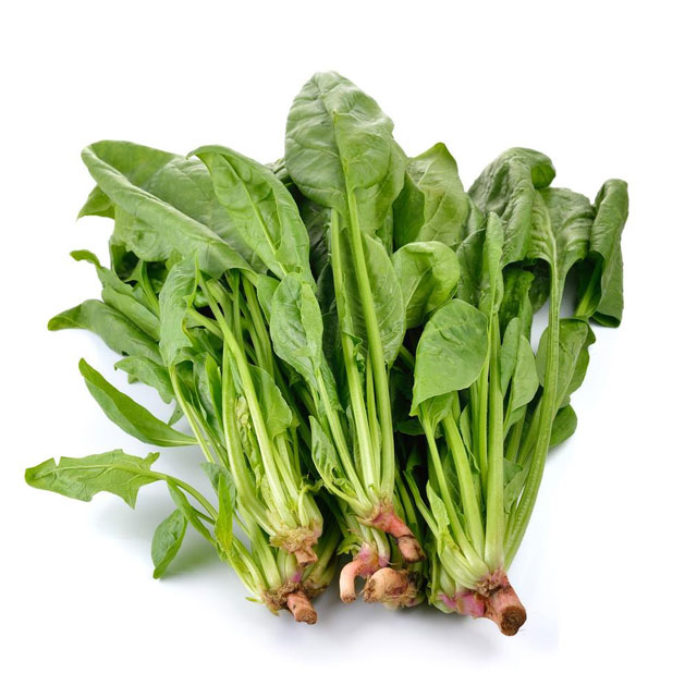 菠菜配送-蔬菜配送-深圳市七畝地農(nóng)產(chǎn)品實(shí)業(yè)有限公司